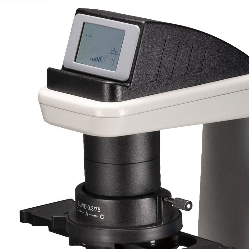 Product View