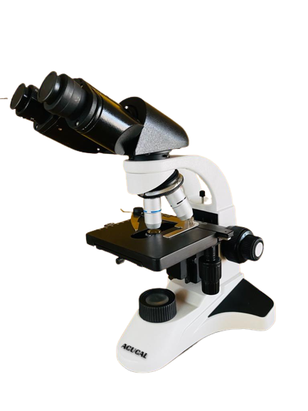 Product View