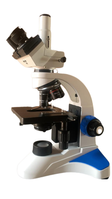 Product View
