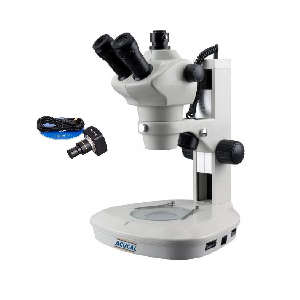 Product View