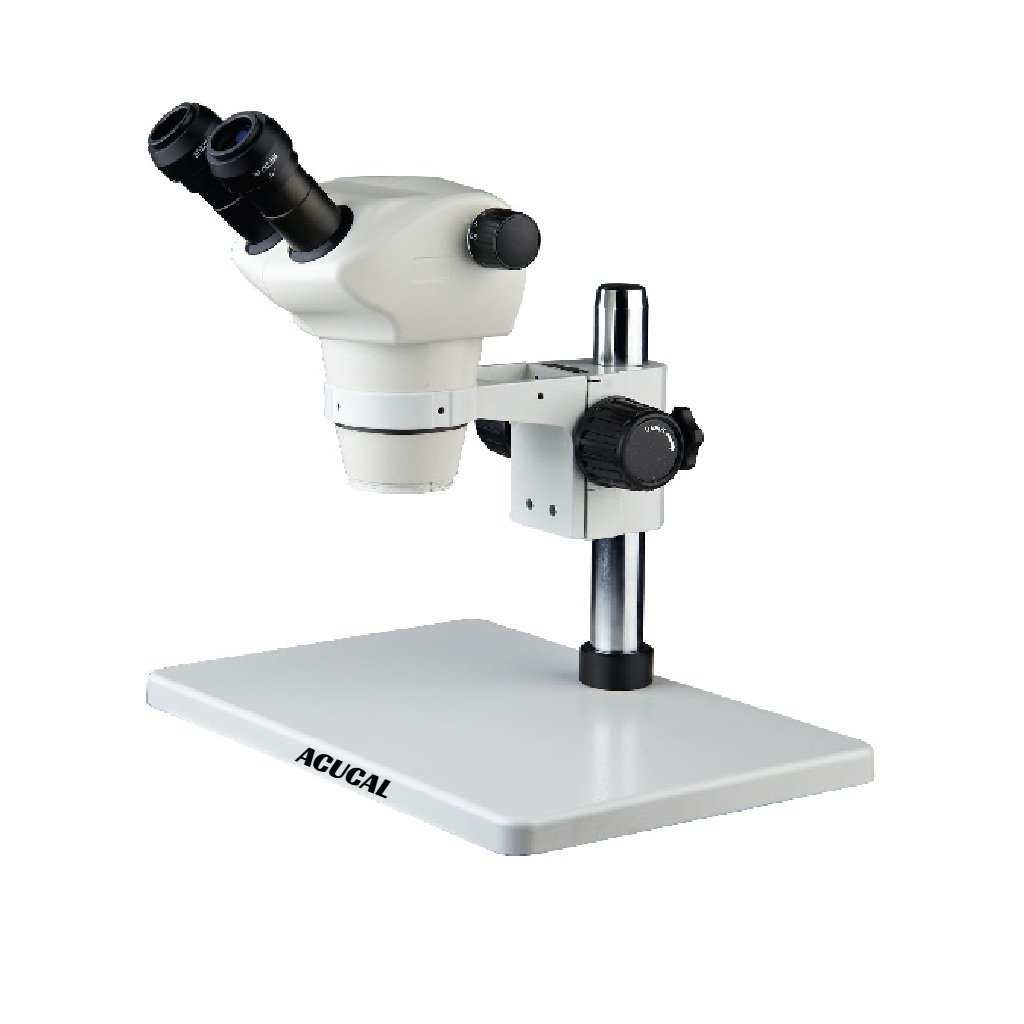 Product View