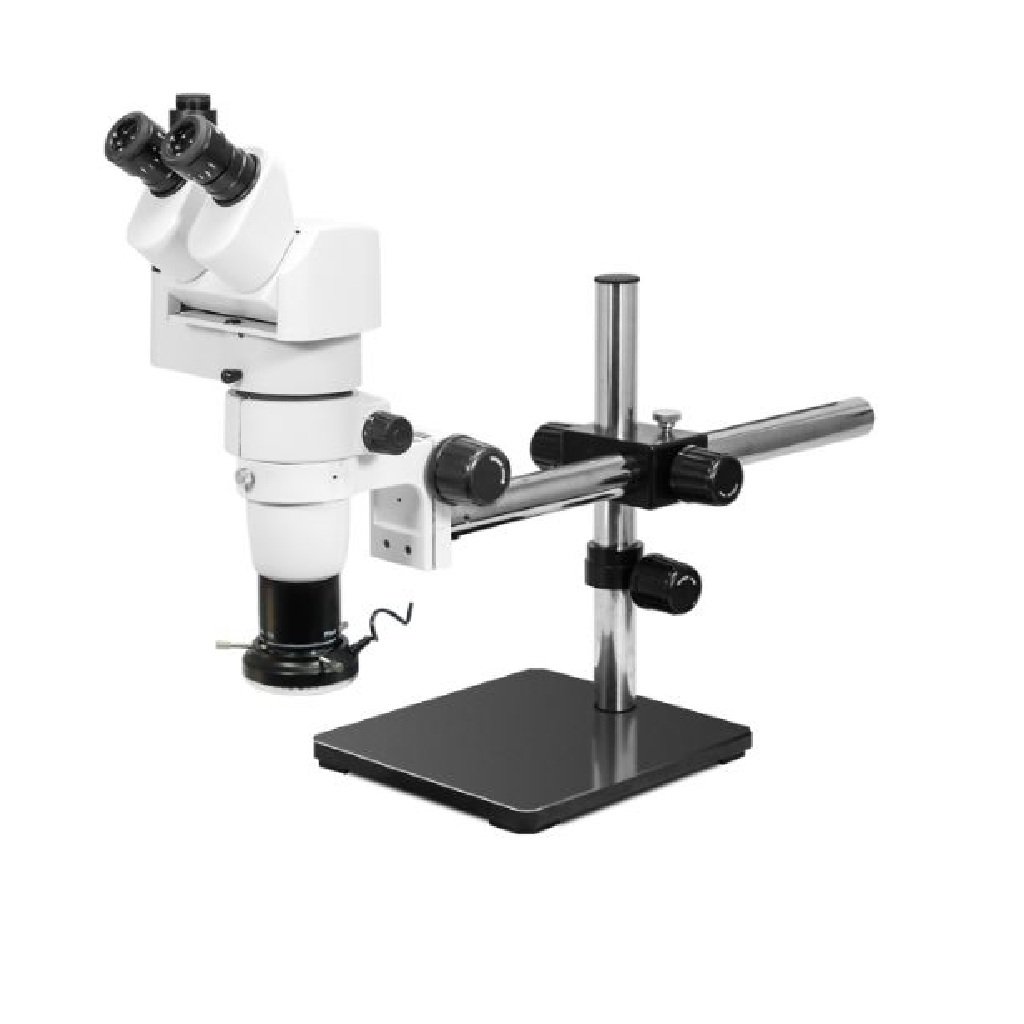 Product View