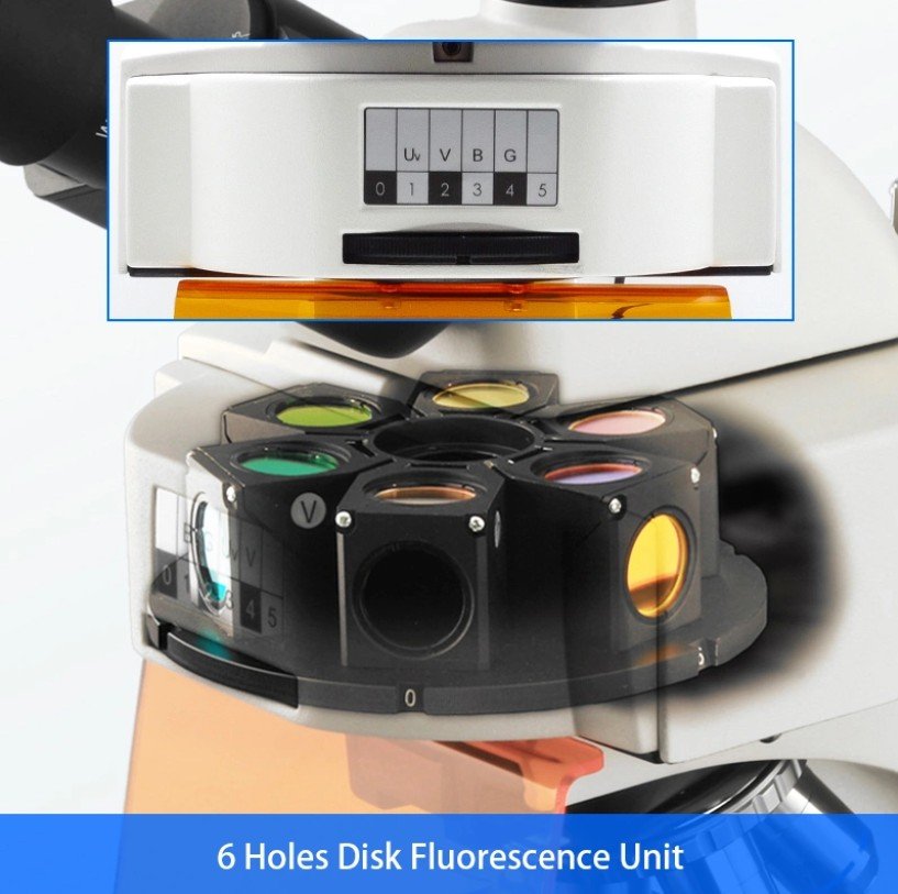 Product View