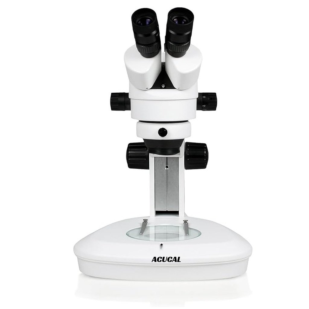 Product View