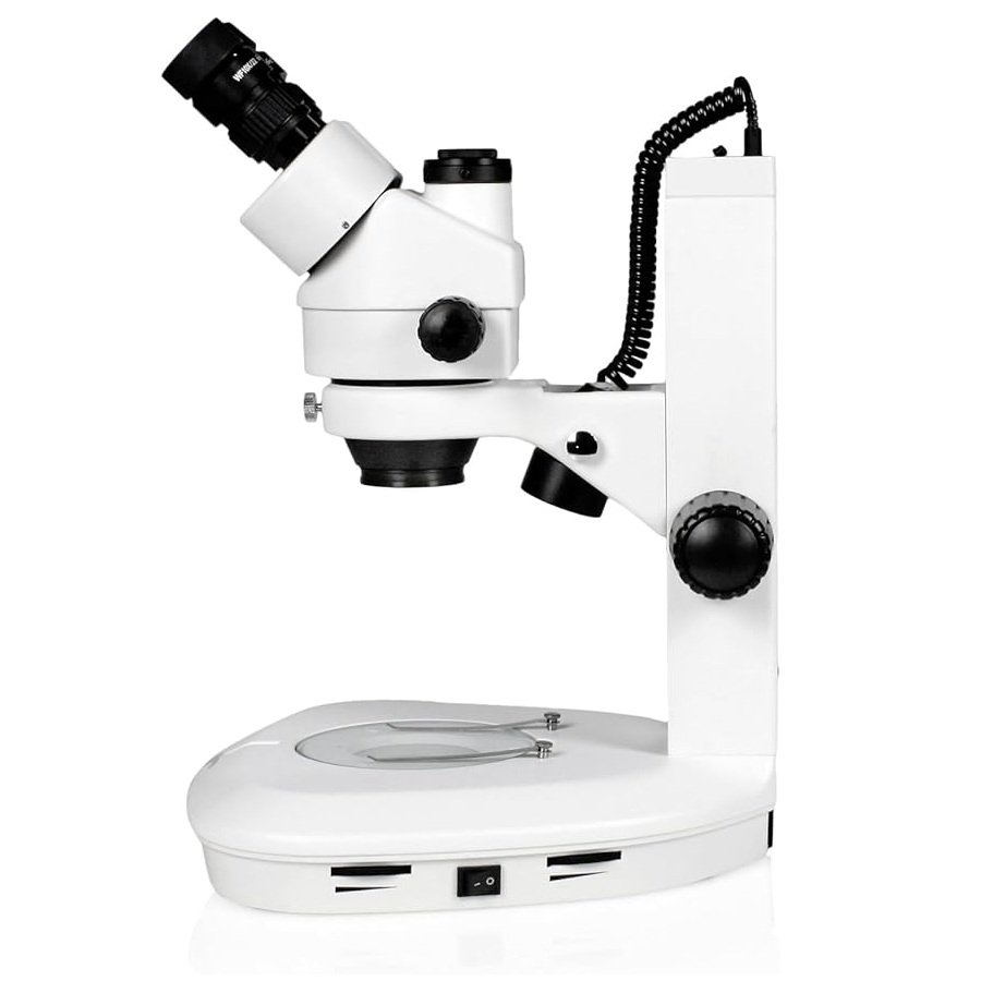 Product View