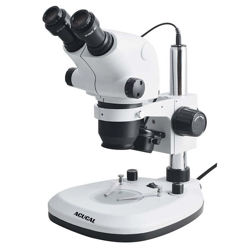 Product View