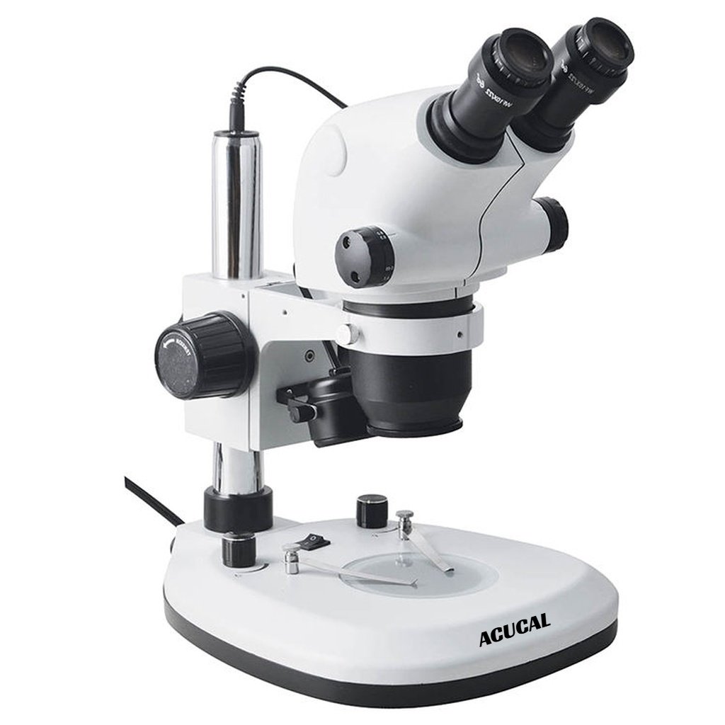 Product View