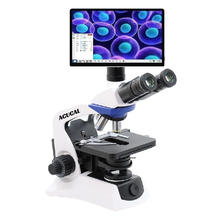 Product View