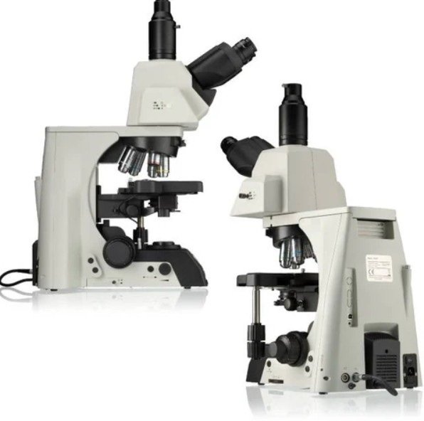 Product View
