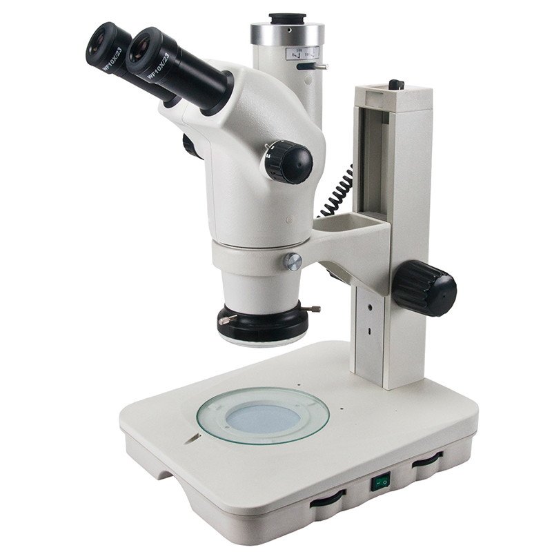Product View
