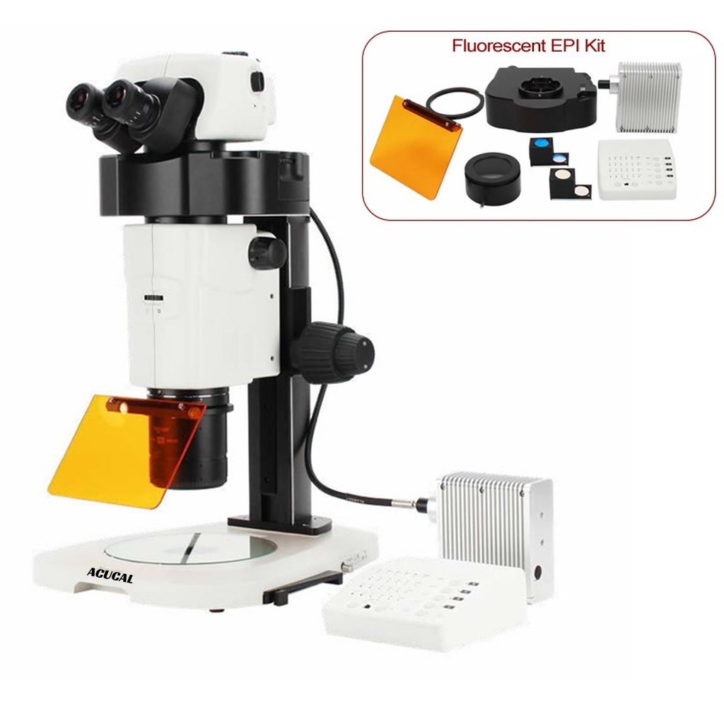 Product View