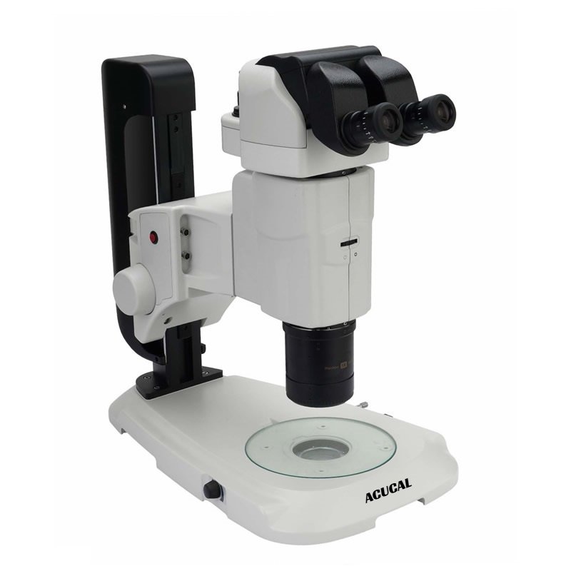 Product View