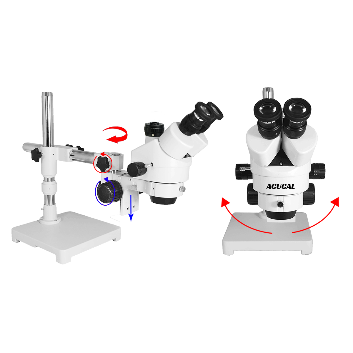 Product View