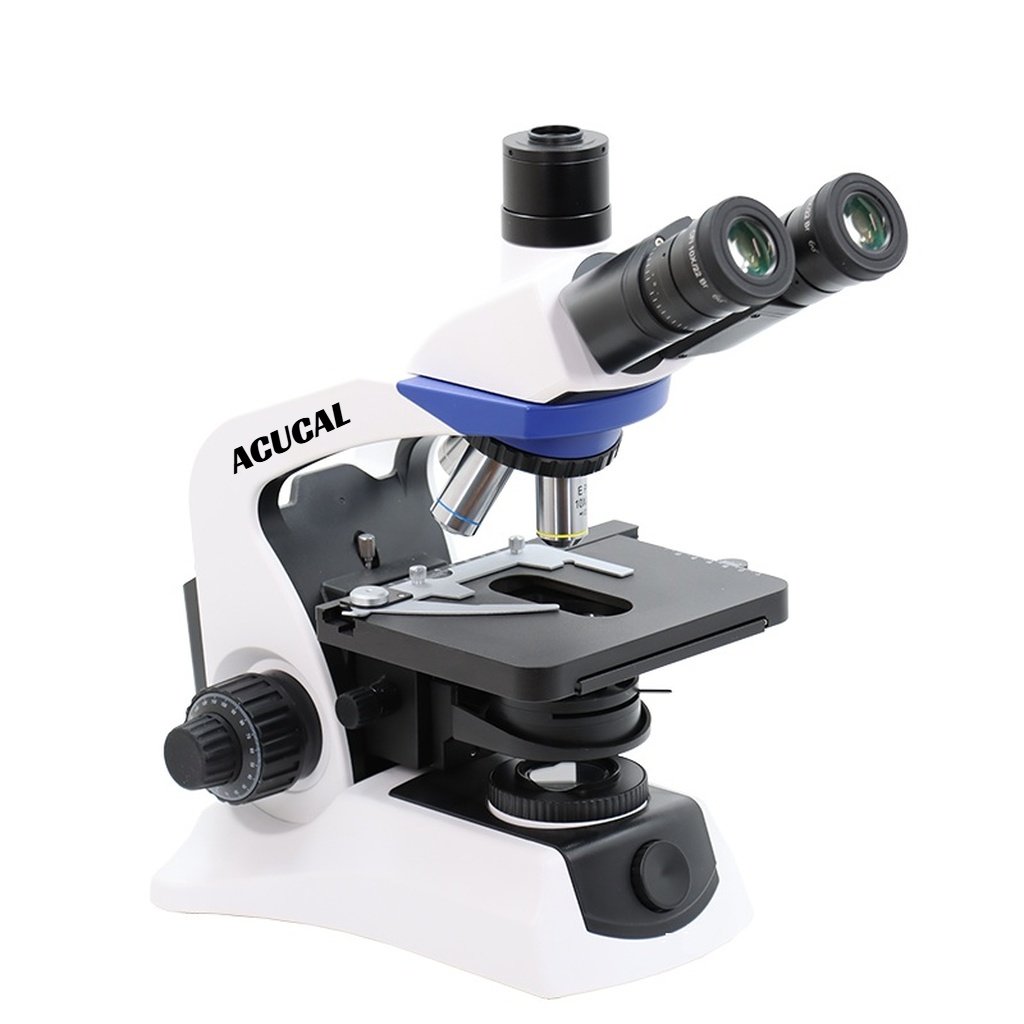 Product View