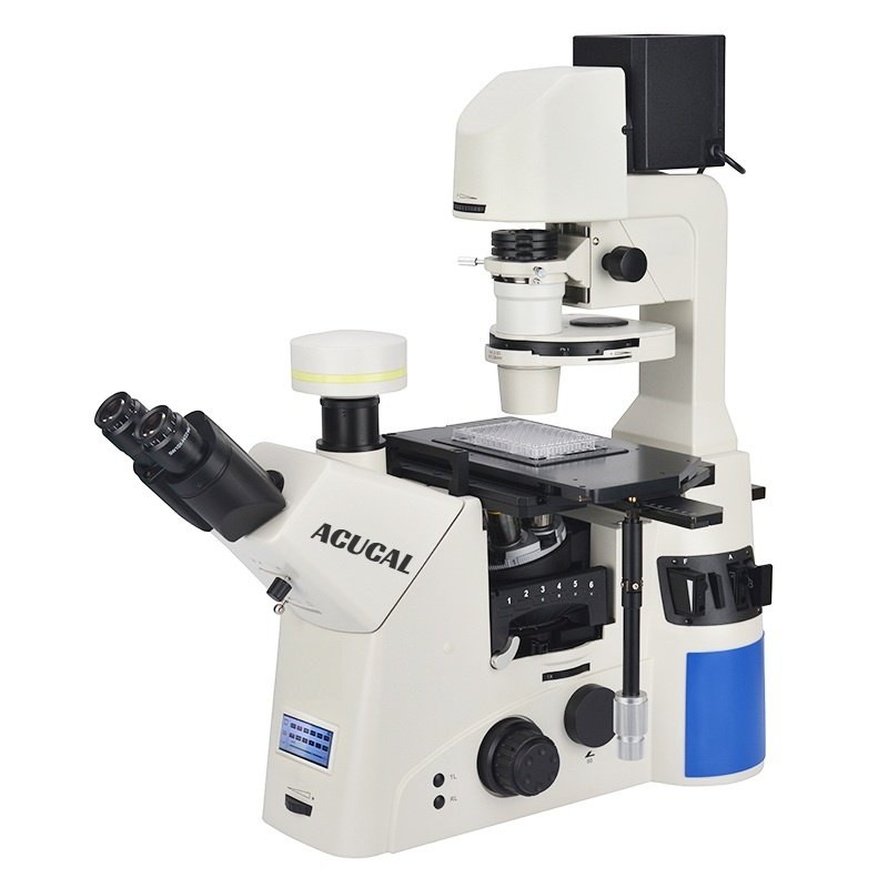Product View