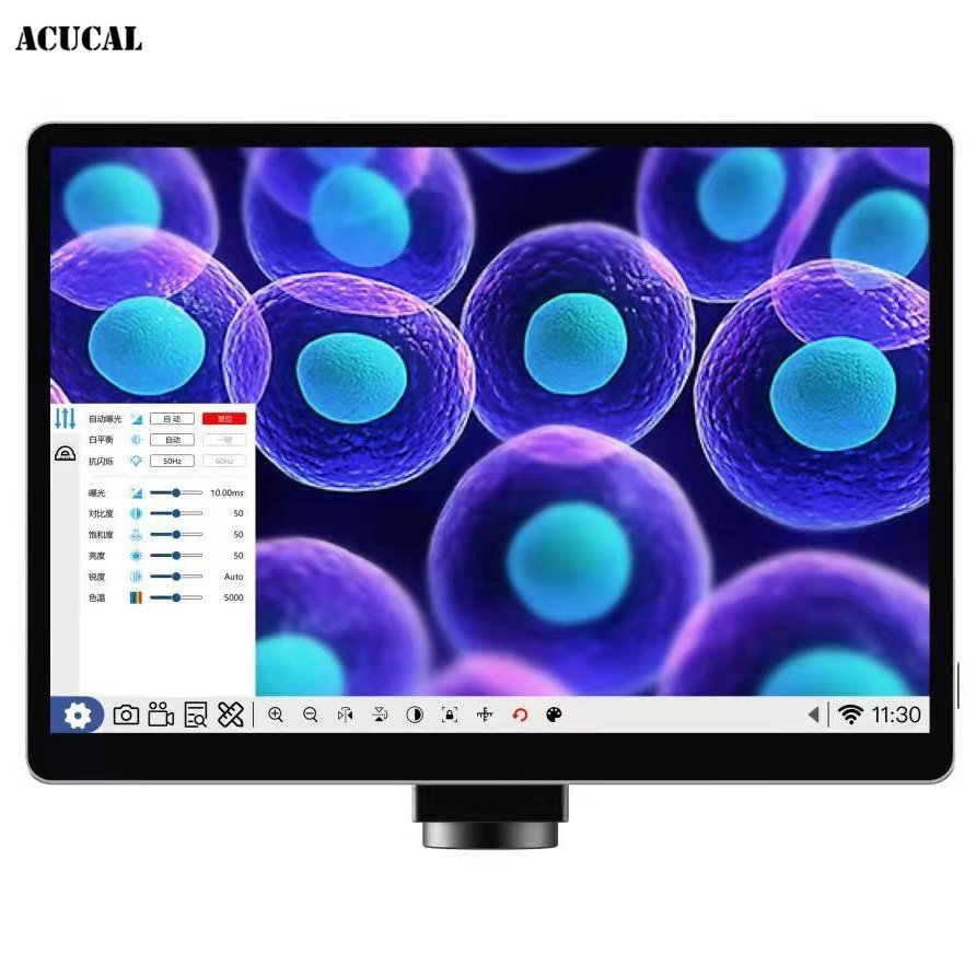 Product View