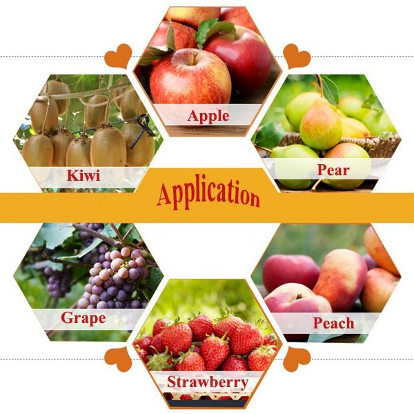 Product View