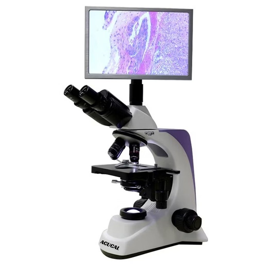Product View