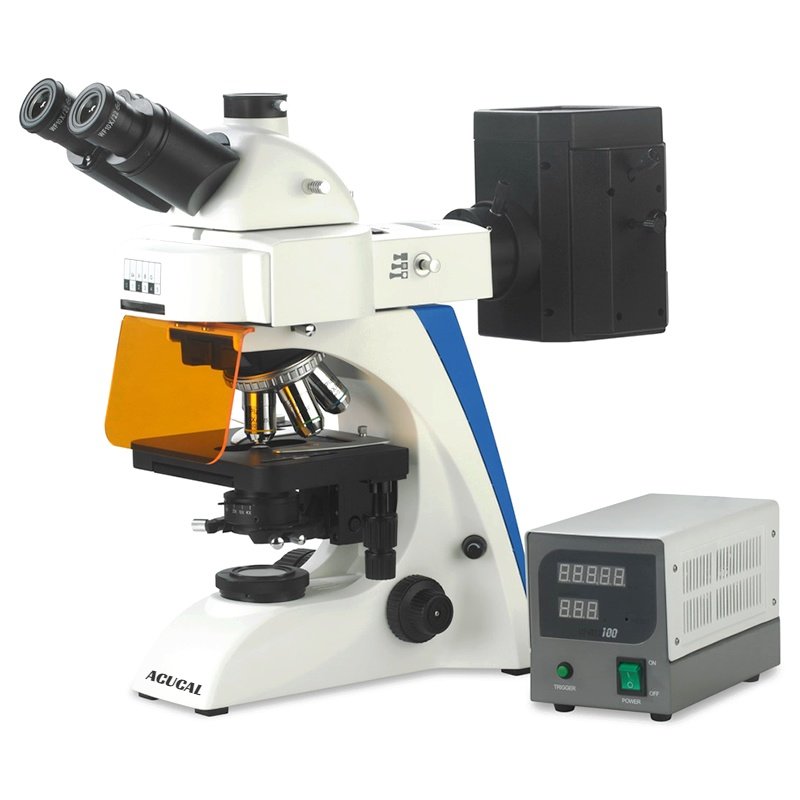 Product View