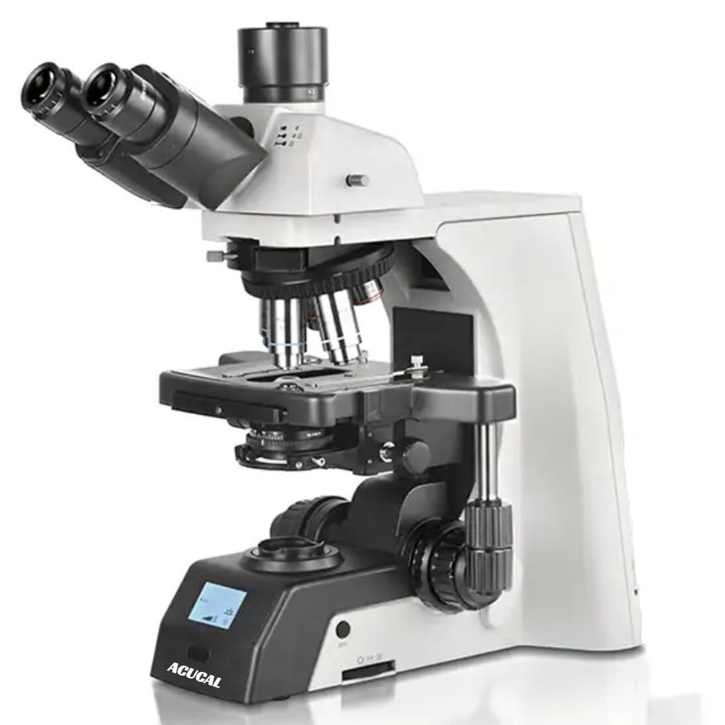 Product View