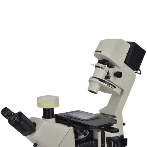 Product View