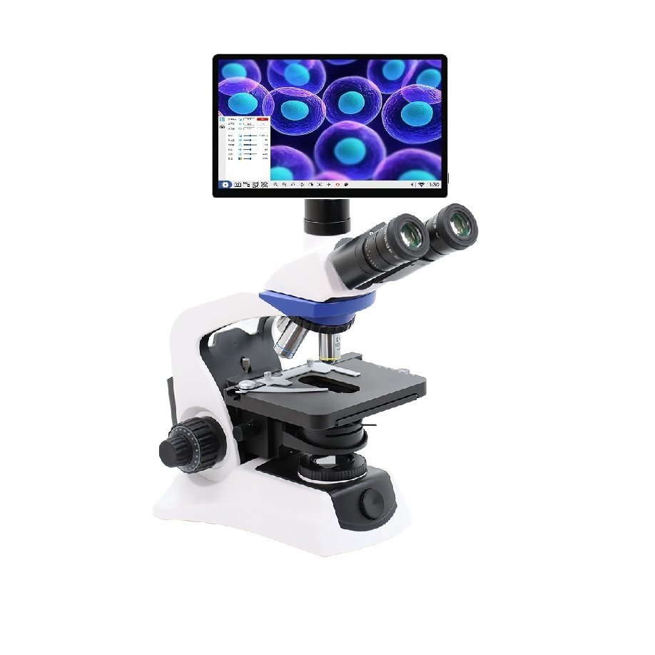 Product View